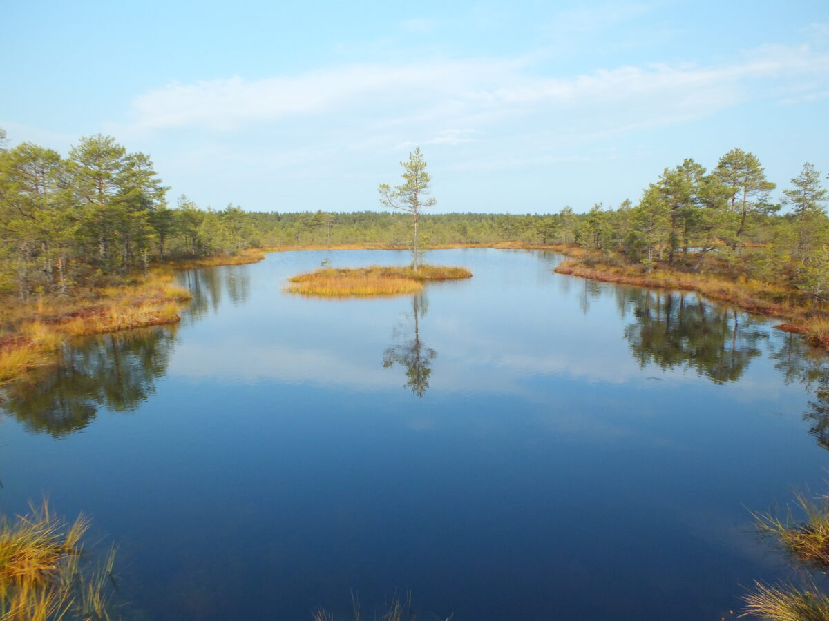 Estonia